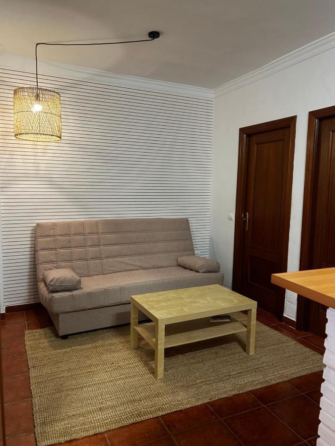 ¨el Lizon¨ Apartment Setenil De Las Bodegas